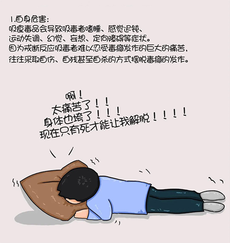 05.jpg