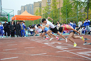 图片31.jpg